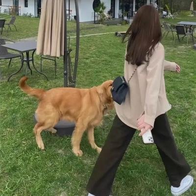 与冤家约会